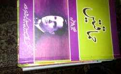 singapore-20131108-01343