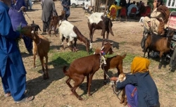 WhatsApp Image 2023-06-03 at 2.09.48 PM (1)