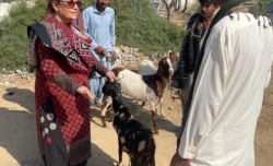 WhatsApp Image 2023-06-03 at 2.09.49 PM (1)