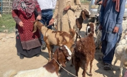 WhatsApp Image 2023-06-03 at 2.09.49 PM