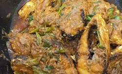 WhatsApp Image 2023-06-03 at 2.09.20 PM